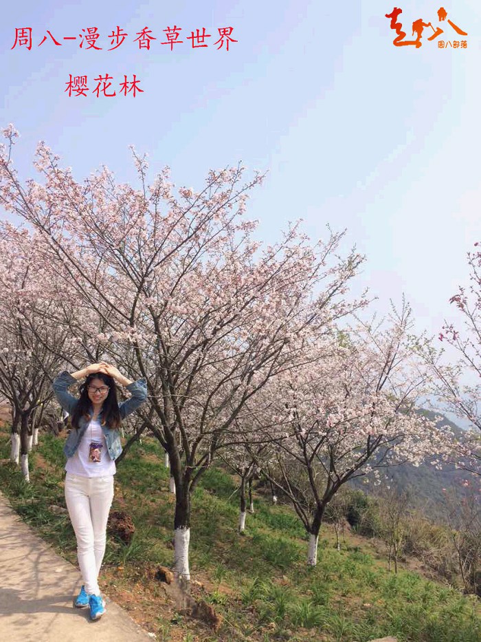 /DJGIMG/Upload/201503301547165Ec7Ws.jpg