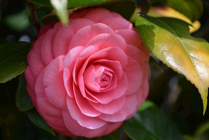 /DJGIMG/Upload/201503301549211Ap7Xi.jpg