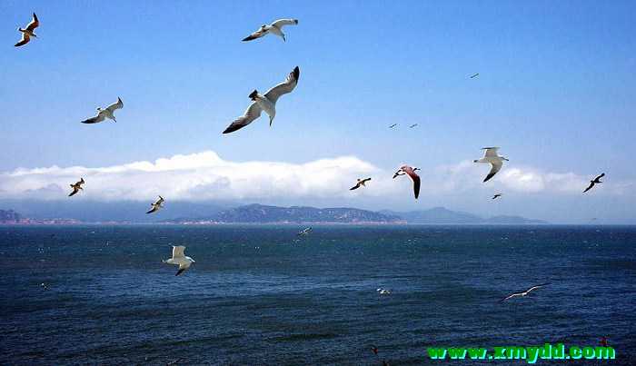 /DJGIMG/Upload/201504142036164Nh3Ul.jpg