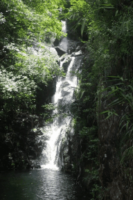 /DJGIMG/Upload/201504292133078Ic9Oc.gif