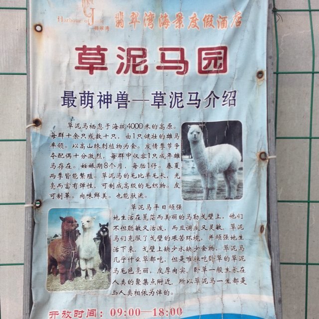 /DJGIMG/Upload/201506100917561Ns4Kh.jpg