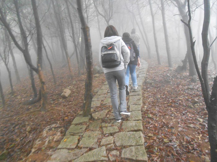 /UpFile/2015/11/10/201511100002209Sg5Nt.jpg