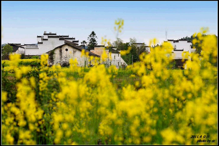 /Upload/201503061234291Lb4Dm.jpg
